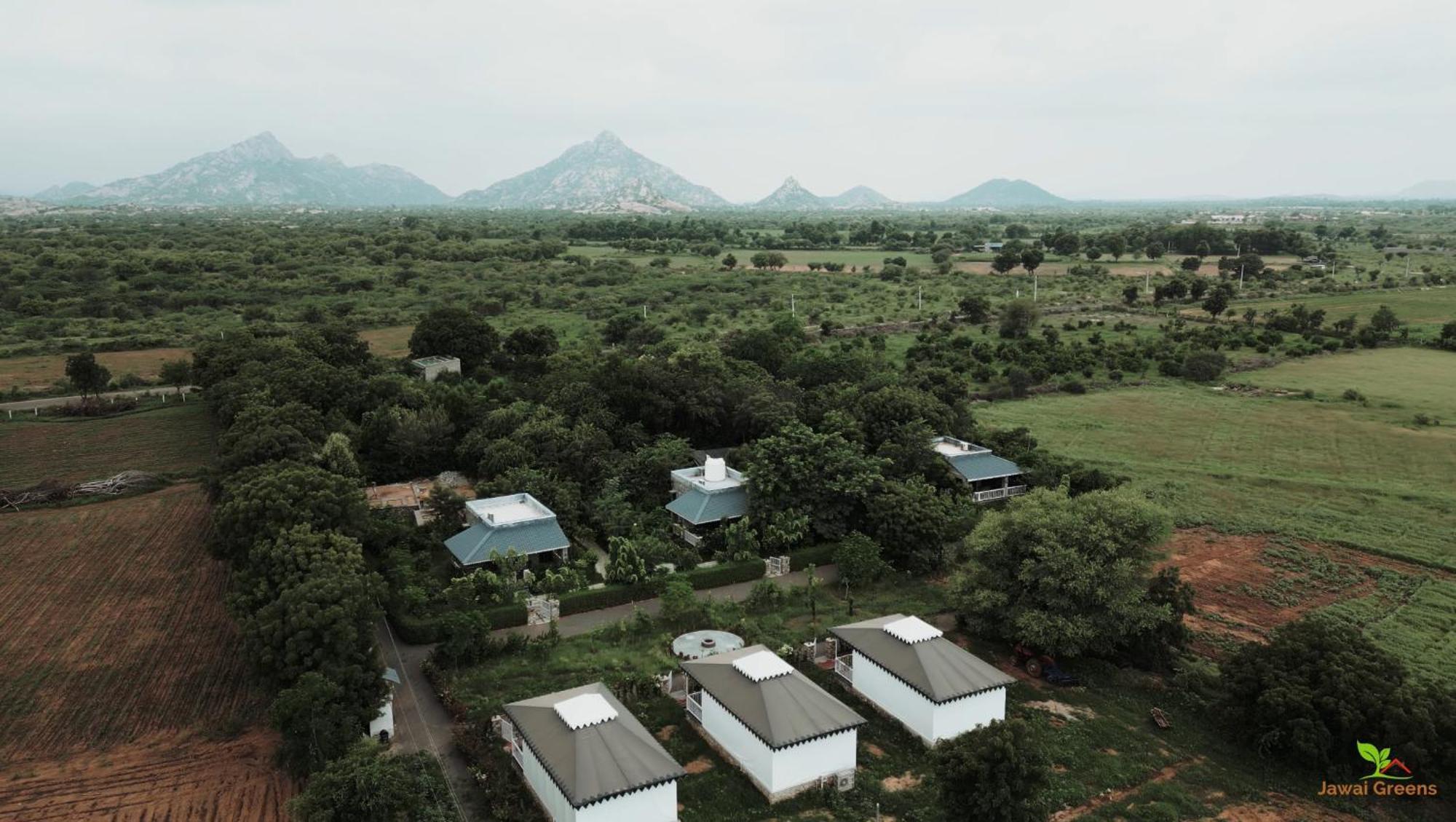Jawai Greens Jawai Bandh Esterno foto