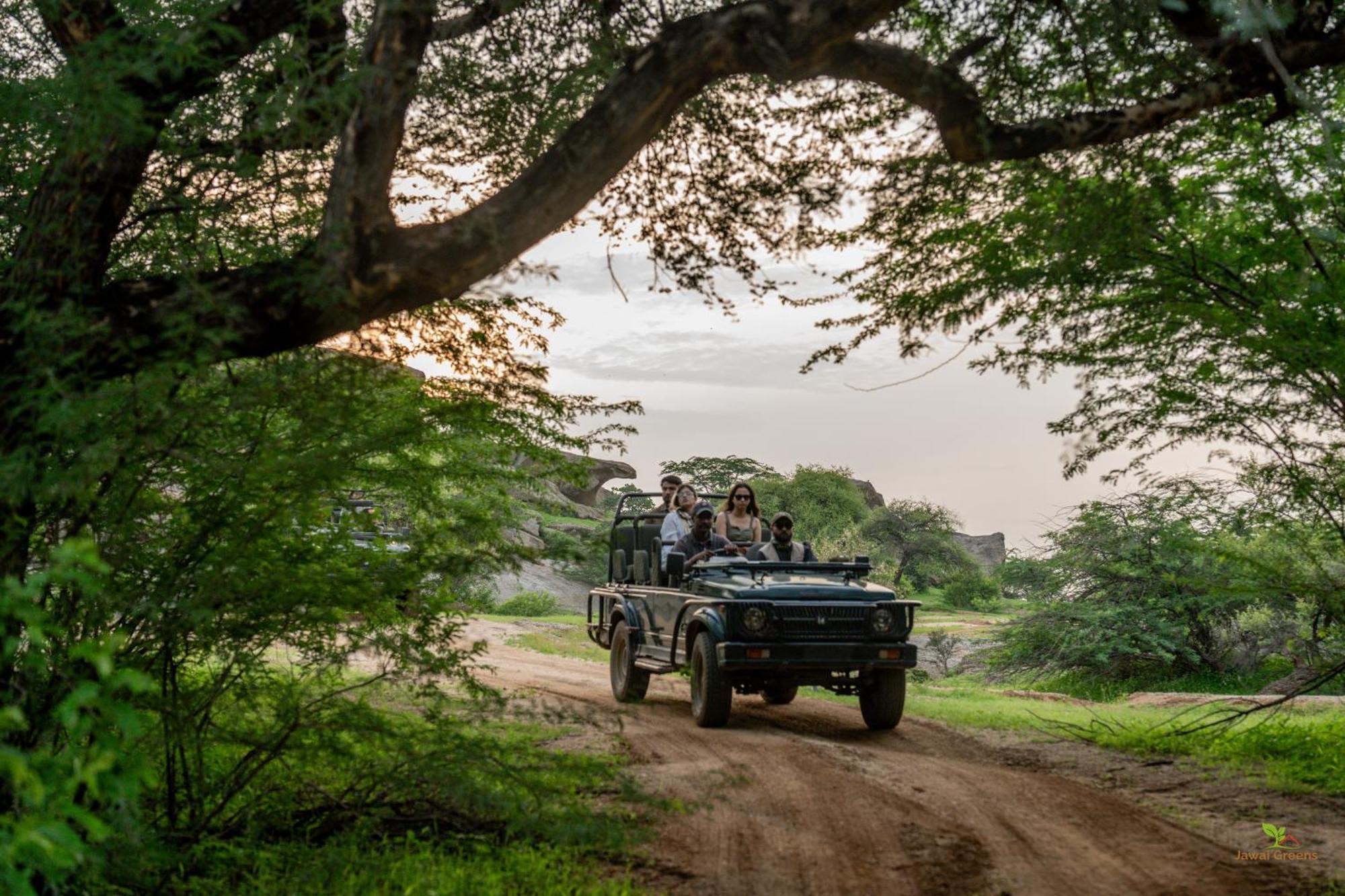 Jawai Greens Jawai Bandh Esterno foto