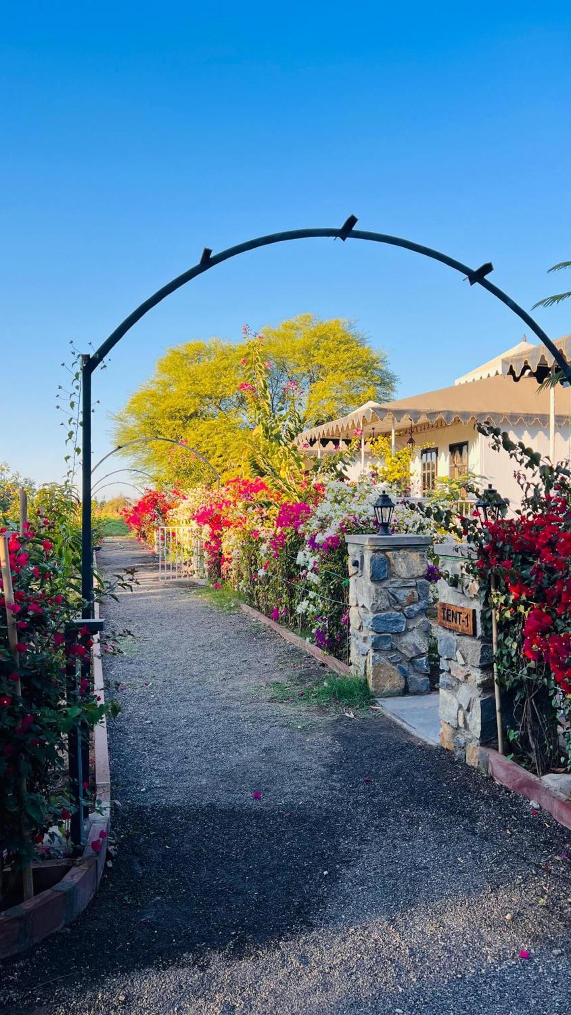 Jawai Greens Jawai Bandh Esterno foto